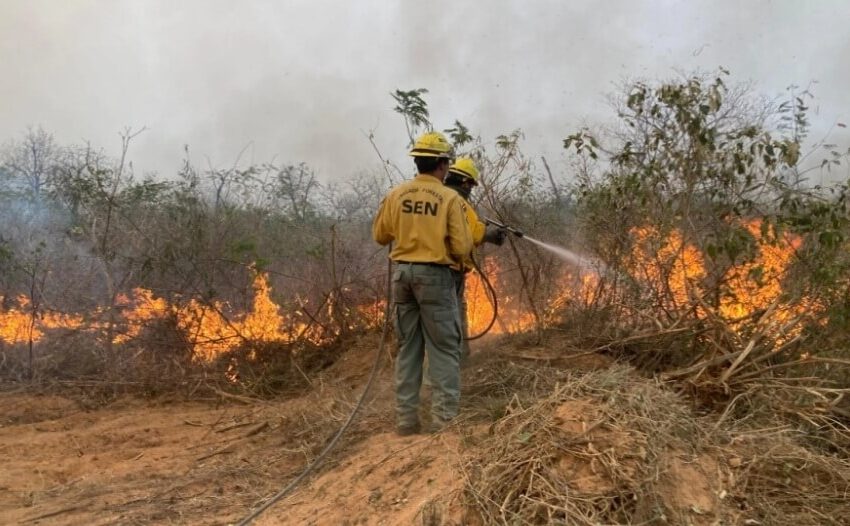  Sudamérica tiene 7.821 incendios forestales activos