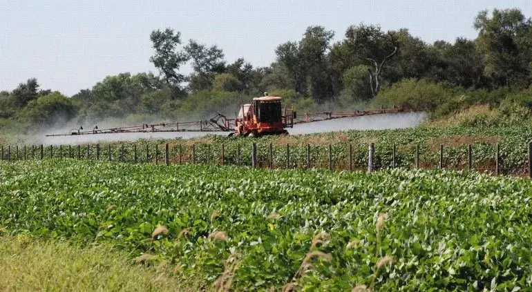  Pobladores de la colonia Y’ambue se sienten afectados por el uso de agrotóxicos de un sojero.