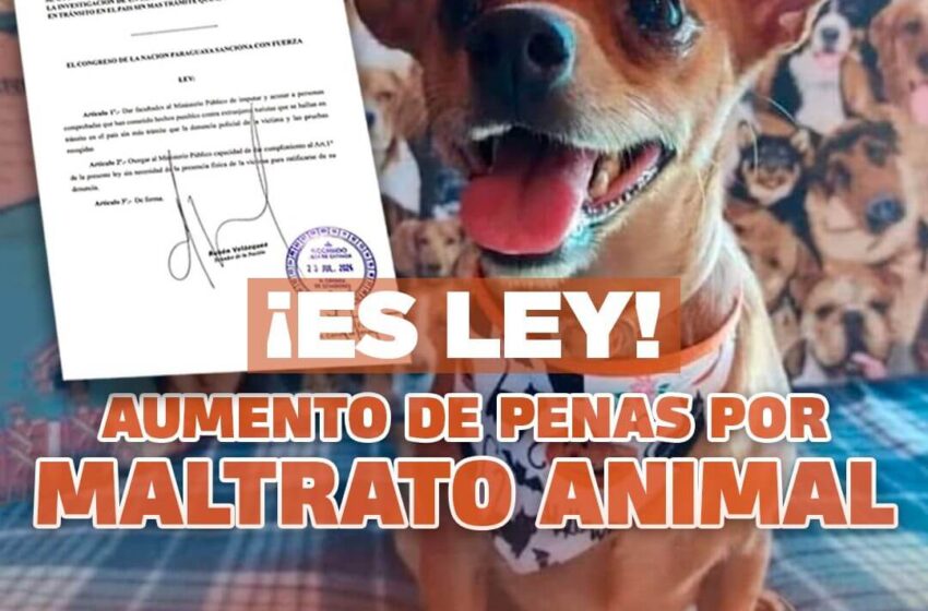  Nueva Ley Endurece Penas por Maltrato Animal: Hasta Seis Años de Cárcel para Agresores