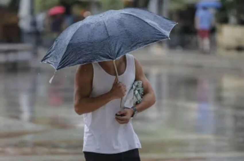  ¿Cómo estará el clima esta semana? Tené tu paraguas a mano