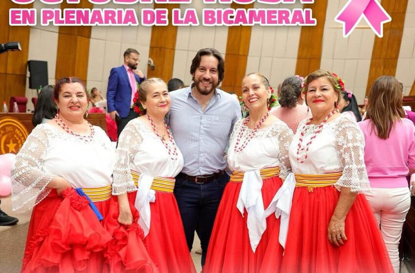  Acto conmemorativo y artístico por Octubre Rosa en la plenaria de la Bicameral