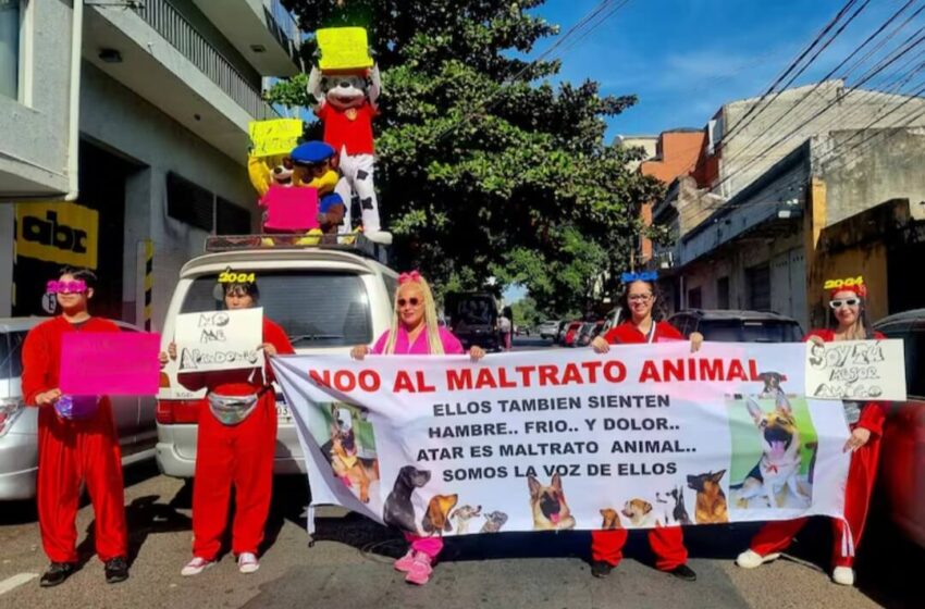  Promulgan ley que eleva a 6 años de prisión el maltrato a animales.