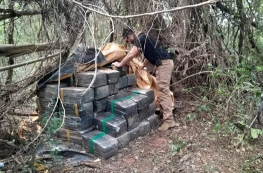  Incautan más de 24 toneladas de marihuana, valuados en unos USD 750.000, en Cerro Corá, Amambay