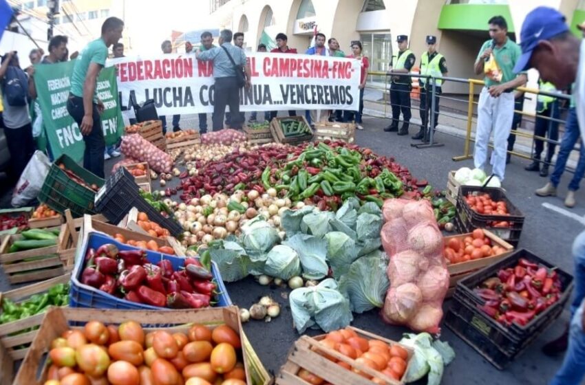  Productores de la FNC protestan por nulo apoyo del Estado: Hay un retroceso muy grave