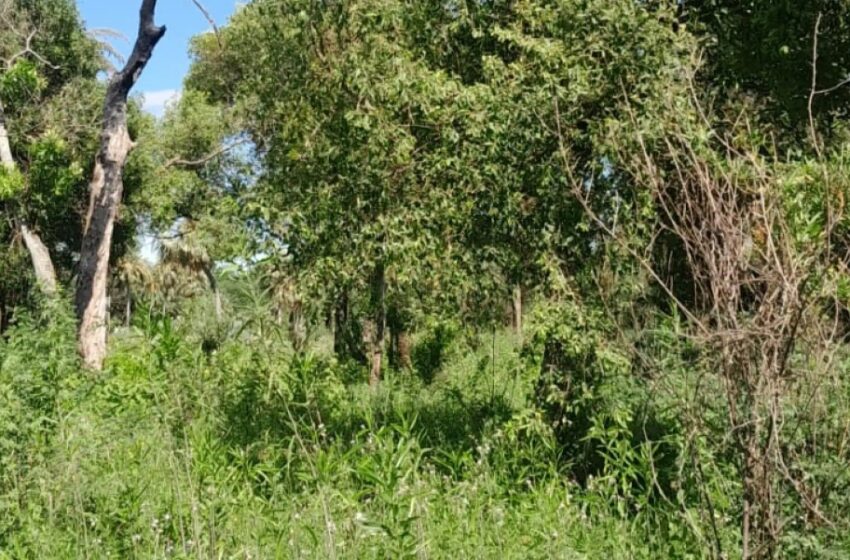  Hallan cadáver y no se descarta que se trate de la mujer desaparecida la semana pasada