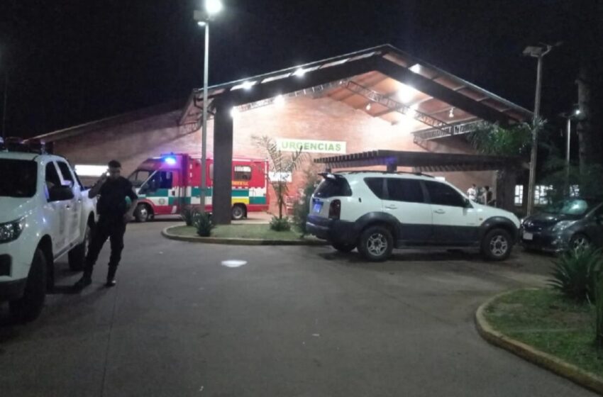  Niño de 3 años muere tras una tardía atención por mordedura de un perro