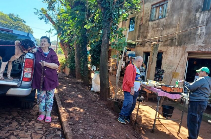  Maltrato animal: Disparan cuatro veces a un perro por “diversión” en Minga Guazú