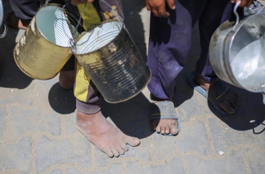  Portavoz de la ONU en Gaza, tras dos meses de bloqueo: “La gente se mata por el agua”