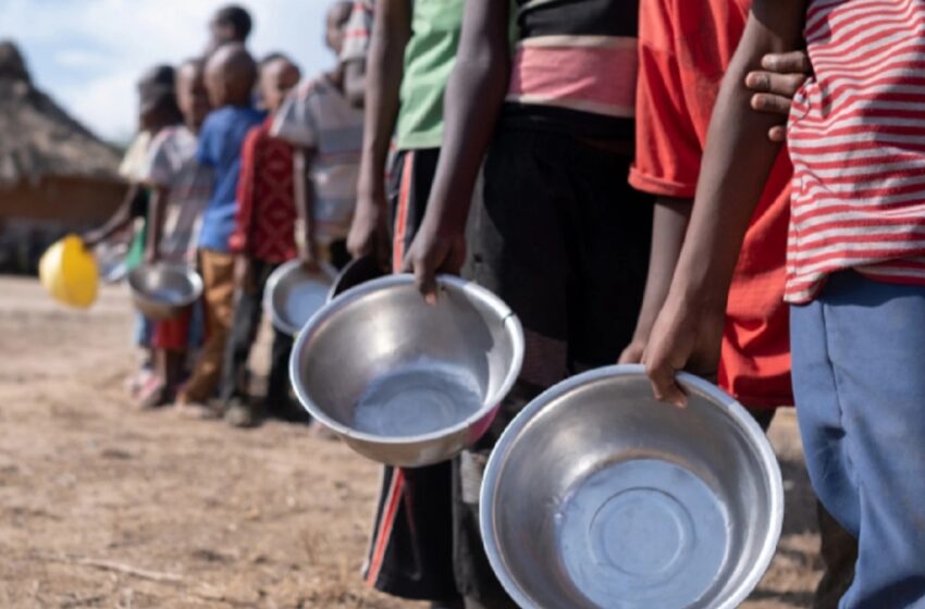  ONU: Más de 52 millones de africanos en riesgo de hambre entre junio y agosto