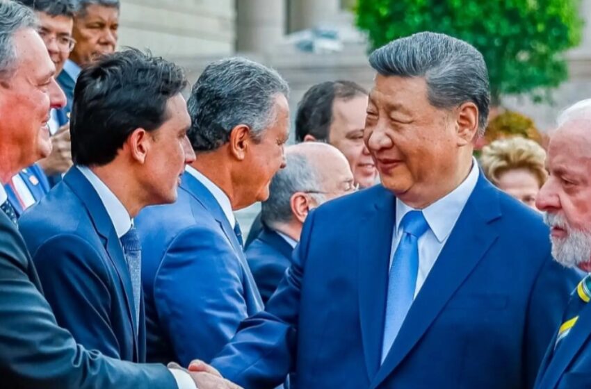  China suspende las importaciones de pollo de Brasil por un caso de gripe aviar