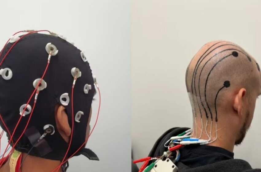  Crean un tatuaje electrónico no permanente que mide la tensión mental