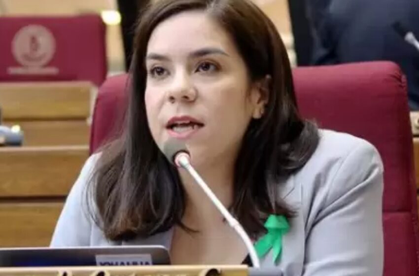  Diputada cuestiona viajes de Peña por casi G. 5.000 millones mientras 15 estudiantes no pueden viajar a Brasil