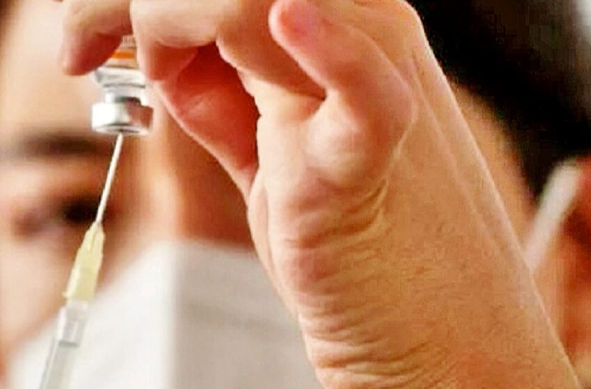  ¿Una vacuna contra cáncer de páncreas y colorrectal?