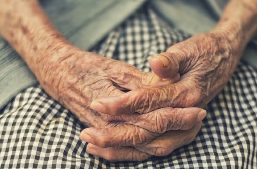  Identifican una hormona natural que protege a las neuronas del daño del párkinson