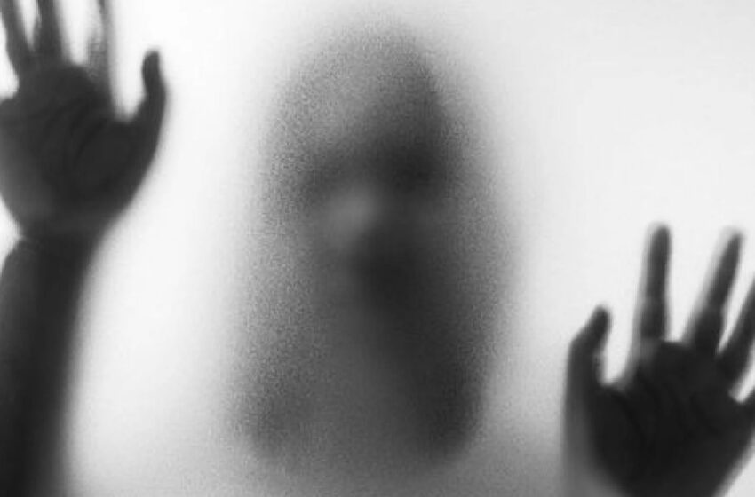  Aparición en la ruta sorprendió a bomberos en Coronel Bogado: “Nos asustamos toditos”