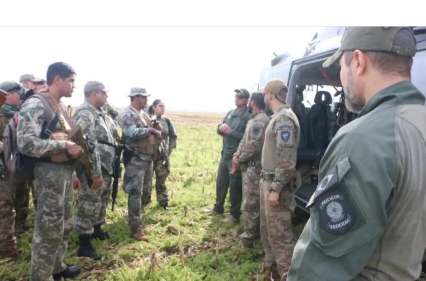  Paraguay y Brasil lanzan ofensiva contra la producción de marihuana en Amambay