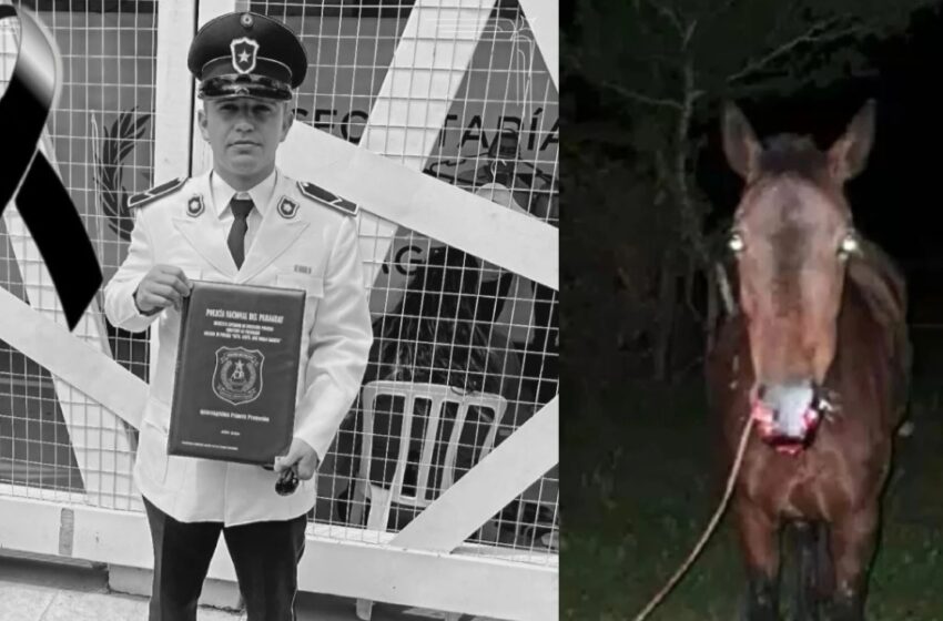  Un policía recién recibido murió tras chocar contra un caballo