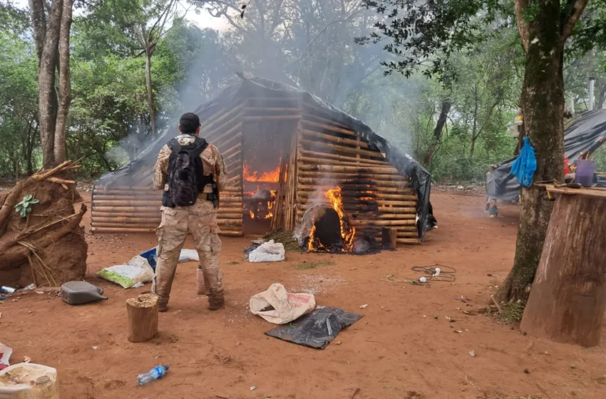  SENAD desmanteló en Capitán Bado un laboratorio inédito para extraer concentrado de cannabis con gas butano