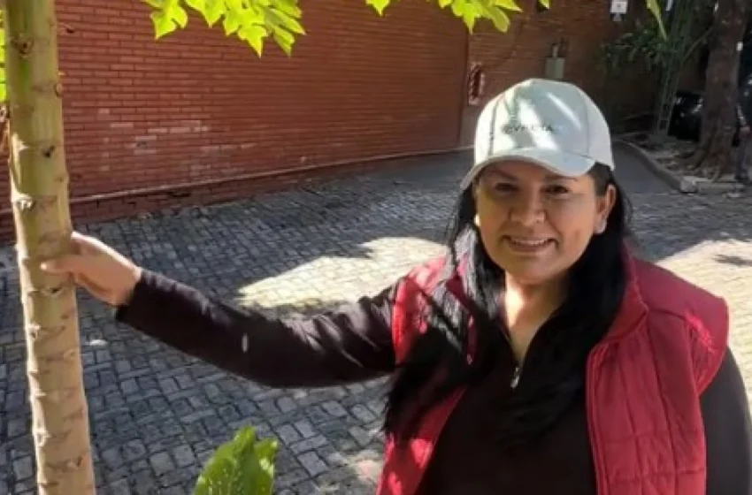  Exdiputada colo’o se plagueó porque llevaron tres frutas del mamón que plantó