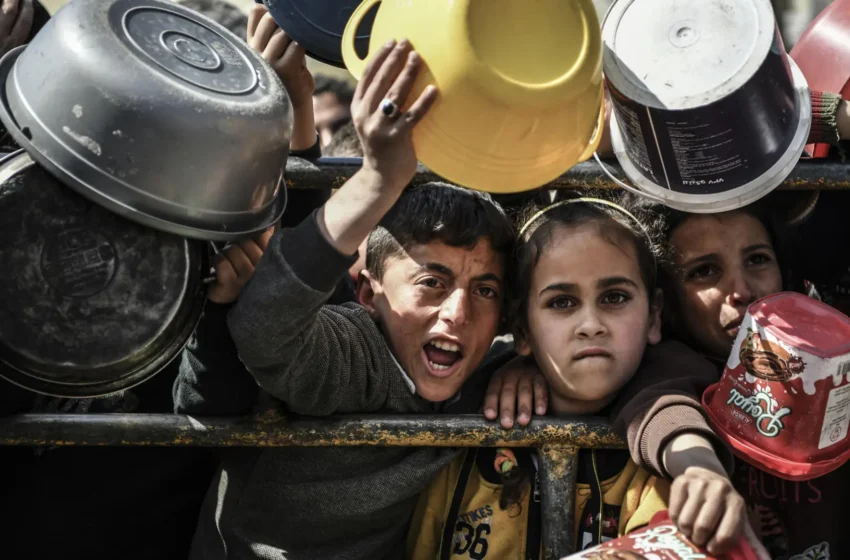  OMS confirma al menos 400 muertes por malnutrición en Gaza, 80 en menores de 5 años