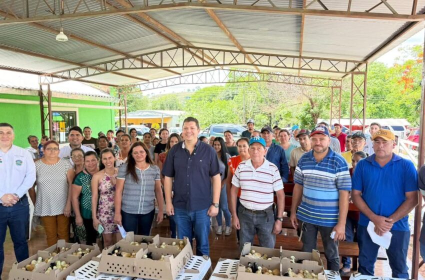  Gobernador de Amambay impulsa la producción avícola con entrega de insumos a familias campesinas