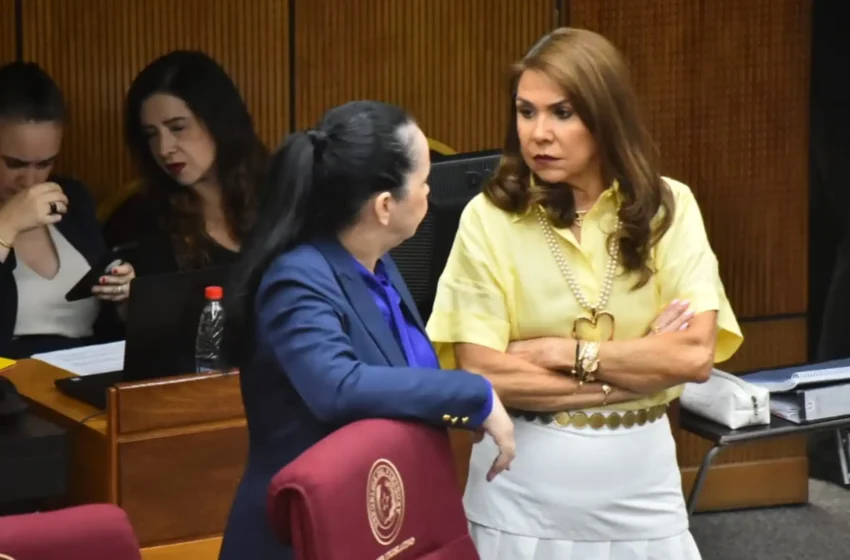  Celeste pide echar al titular de Indert: “¿En qué va a escribir su bomba, en papel higiénico?”