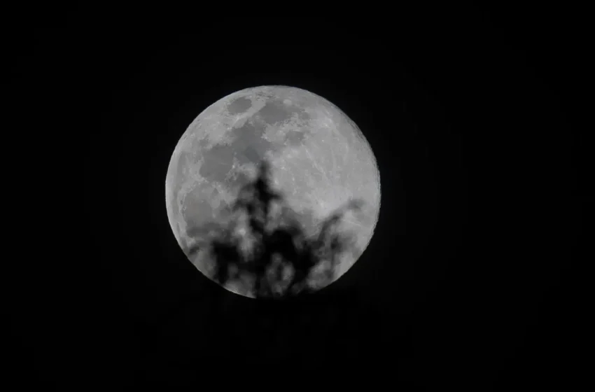  “Más grande” y con mayor brillo, así fue la majestuosa superluna de diciembre, la última de 2025