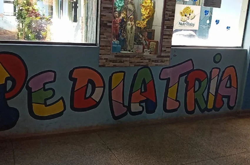  Niño de 2 años es mordido por una serpiente yarará mientras jugaba en Bella Vista Norte