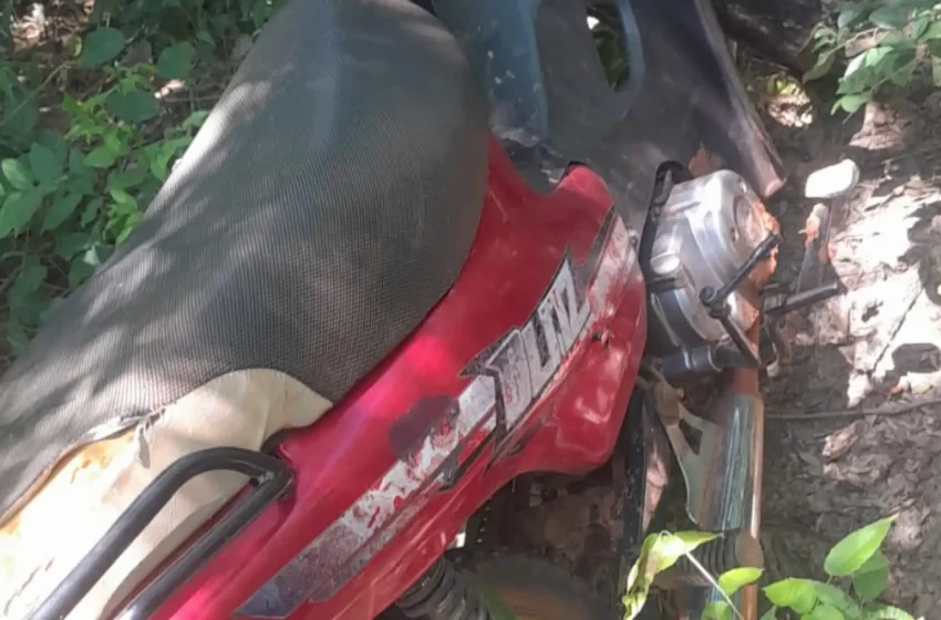  El abigeato, un flagelo persistente en Concepción: nuevo caso en Loreto