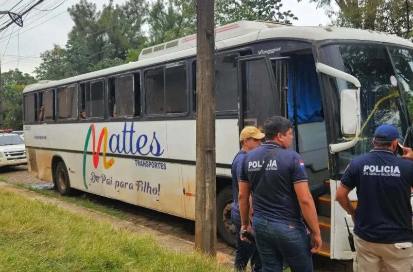  Rescatan a 50 personas de explotación laboral en Brasil
