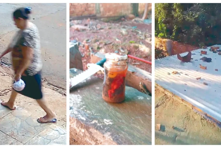  Vecina ñañala: les tiró hasta pollito muerto con alfileres